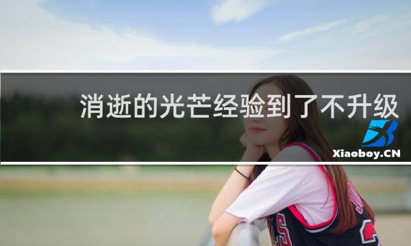 消逝的光芒经验到了不升级