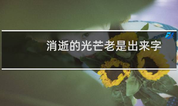 消逝的光芒老是出来字