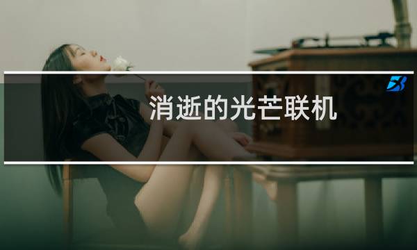 消逝的光芒联机 vac保护