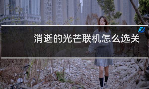 消逝的光芒联机怎么选关