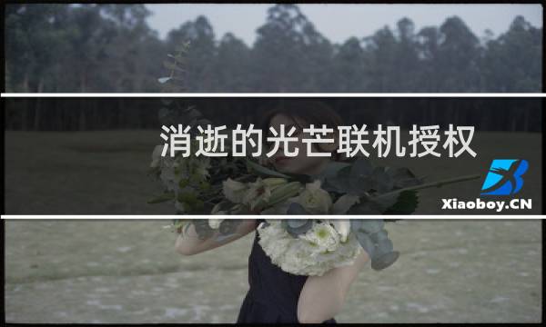 消逝的光芒联机授权