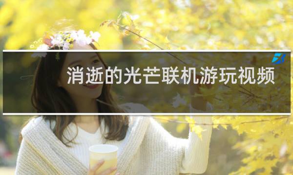消逝的光芒联机游玩视频