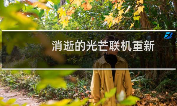 消逝的光芒联机重新