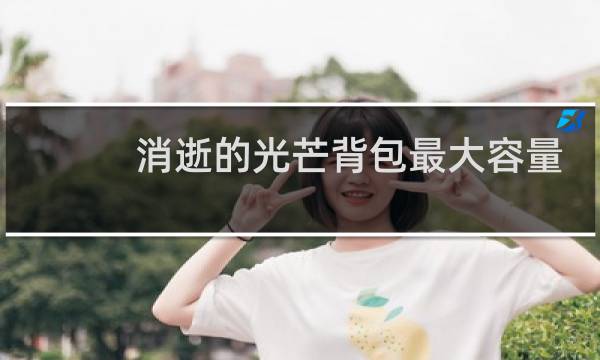 消逝的光芒背包最大容量