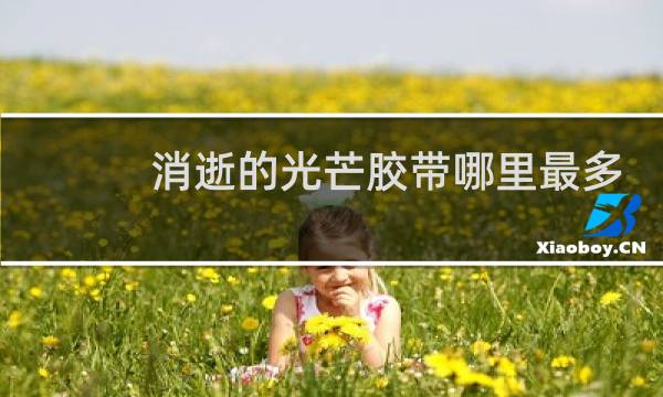 消逝的光芒胶带哪里最多