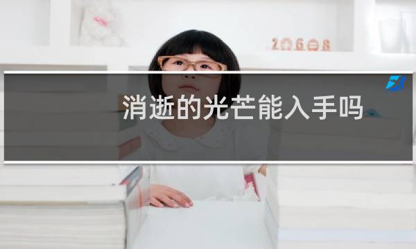 消逝的光芒能入手吗