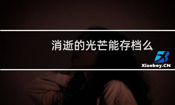 消逝的光芒能存档么