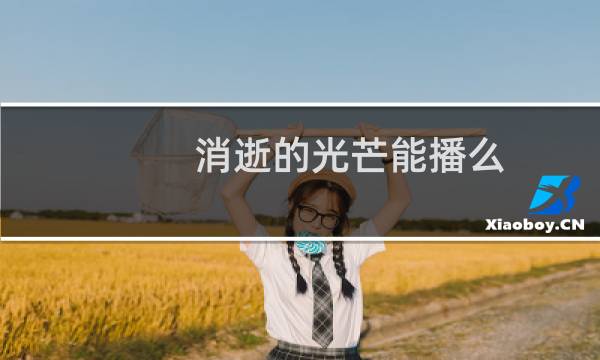消逝的光芒能播么