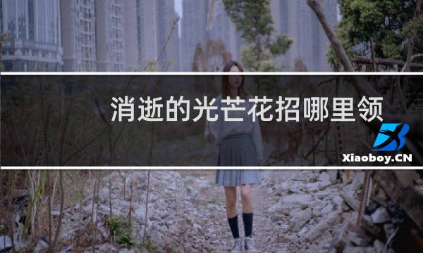 消逝的光芒花招哪里领