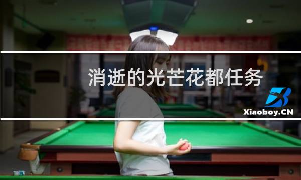 消逝的光芒花都任务