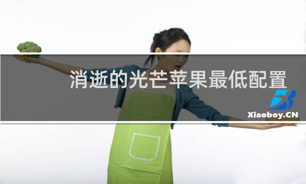 消逝的光芒苹果最低配置