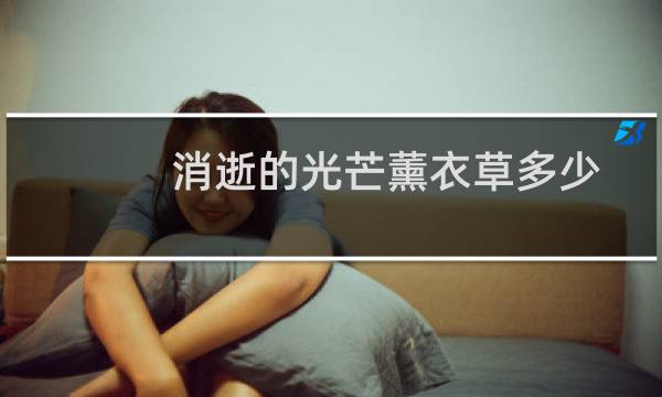消逝的光芒薰衣草多少
