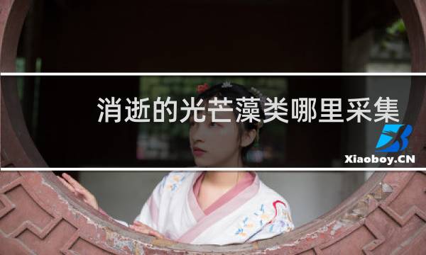 消逝的光芒藻类哪里采集