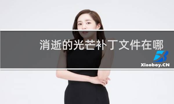 消逝的光芒补丁文件在哪