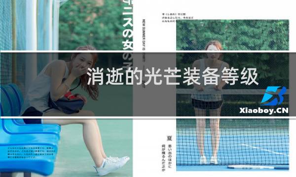 消逝的光芒装备等级