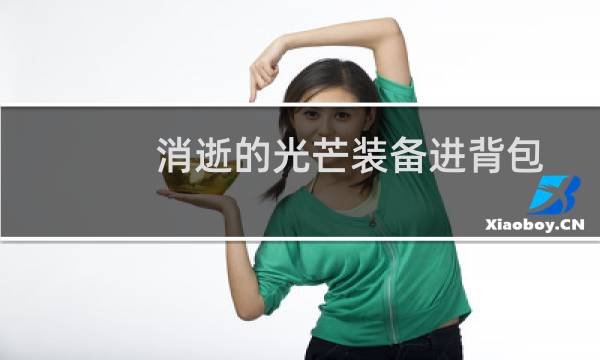 消逝的光芒装备进背包