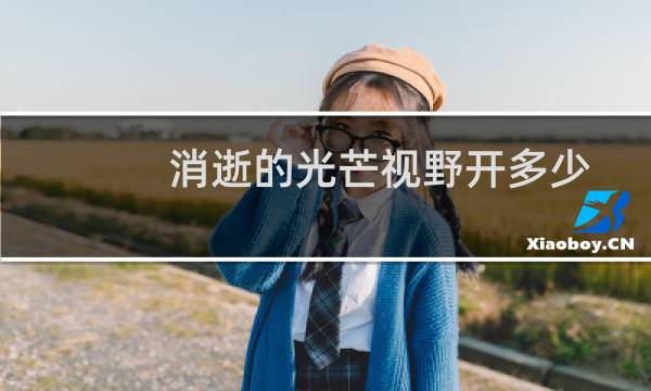 消逝的光芒视野开多少