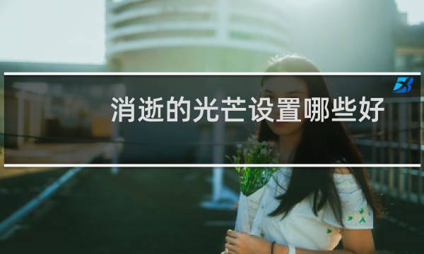 消逝的光芒设置哪些好