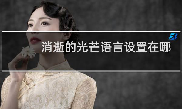 消逝的光芒语言设置在哪