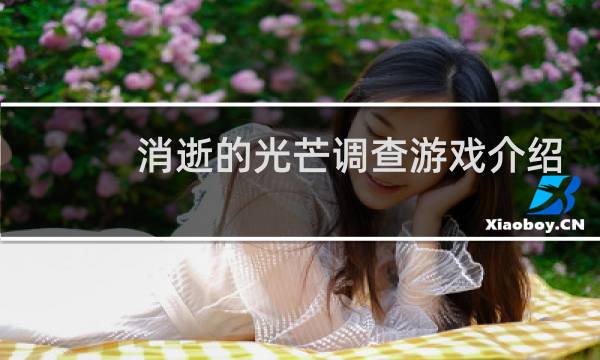 消逝的光芒调查游戏介绍