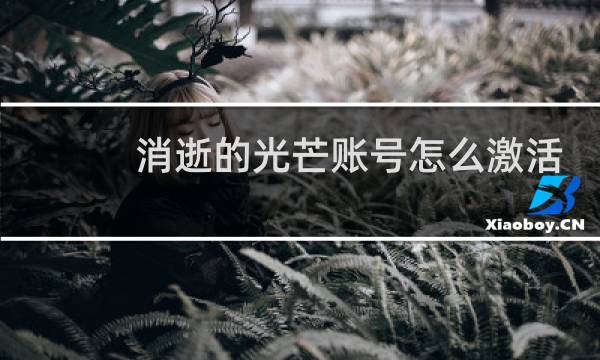 消逝的光芒账号怎么激活
