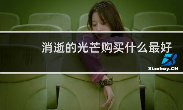 消逝的光芒购买什么最好