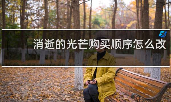 消逝的光芒购买顺序怎么改