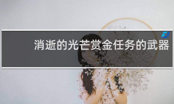 消逝的光芒赏金任务的武器