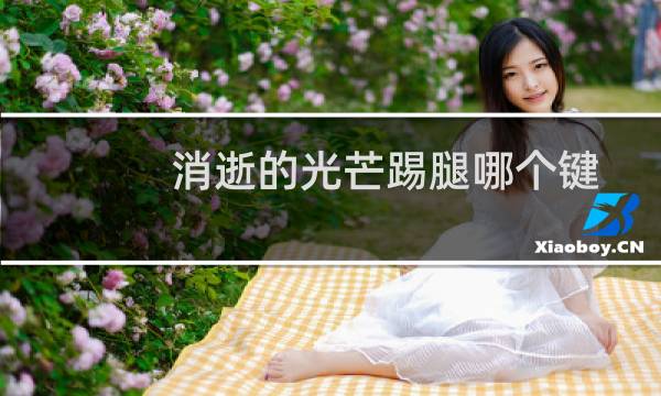消逝的光芒踢腿哪个键