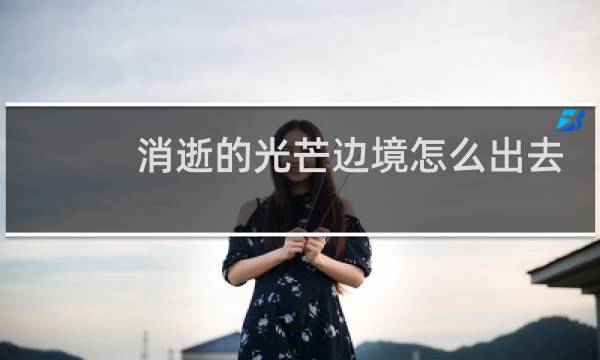 消逝的光芒边境怎么出去