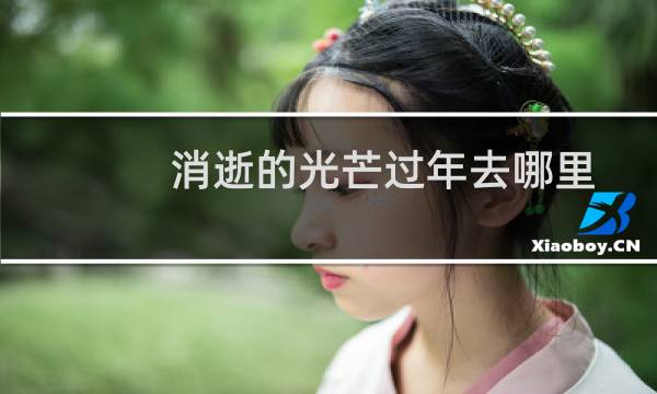 消逝的光芒过年去哪里