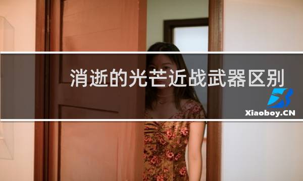 消逝的光芒近战武器区别