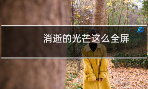 消逝的光芒这么全屏