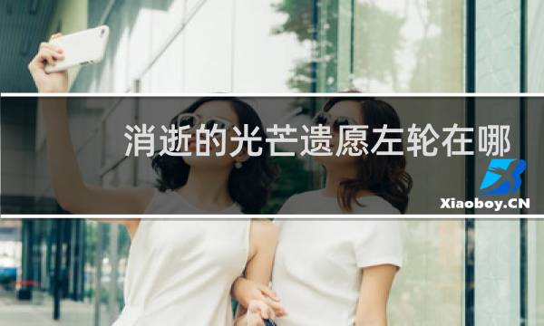 消逝的光芒遗愿左轮在哪
