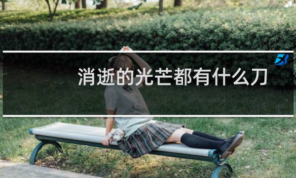 消逝的光芒都有什么刀