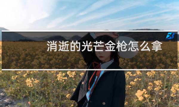 消逝的光芒金枪怎么拿
