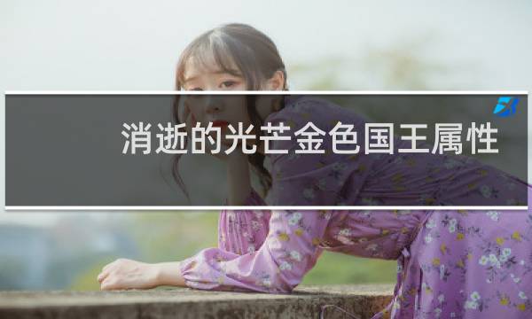 消逝的光芒金色国王属性