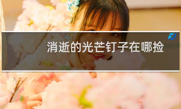 消逝的光芒钉子在哪捡