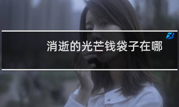 消逝的光芒钱袋子在哪