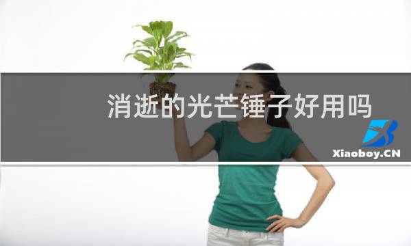 消逝的光芒锤子好用吗