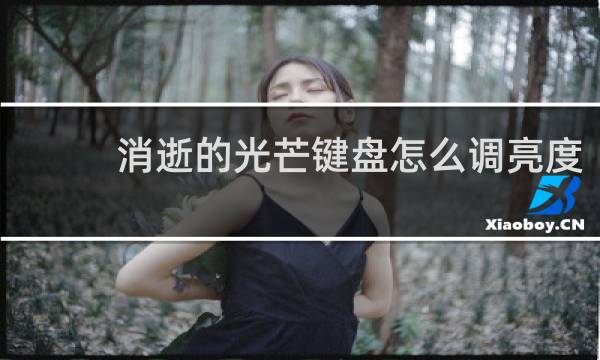 消逝的光芒键盘怎么调亮度