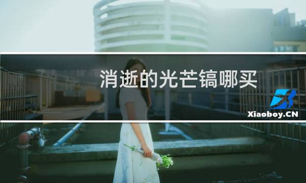 消逝的光芒镐哪买
