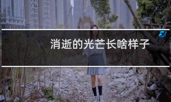 消逝的光芒长啥样子