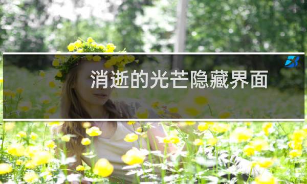 消逝的光芒隐藏界面