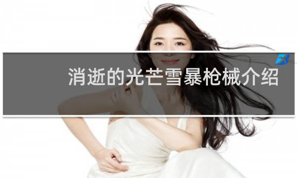 消逝的光芒雪暴枪械介绍