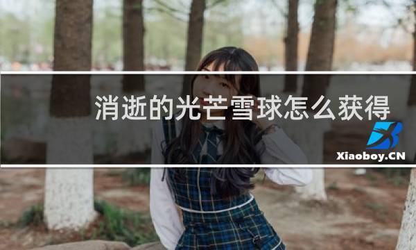 消逝的光芒雪球怎么获得