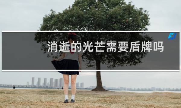 消逝的光芒需要盾牌吗
