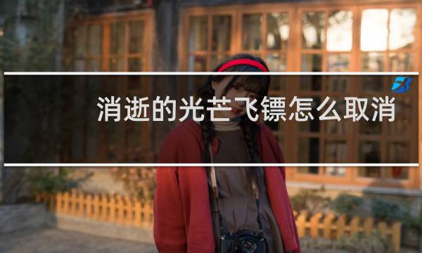 消逝的光芒飞镖怎么取消