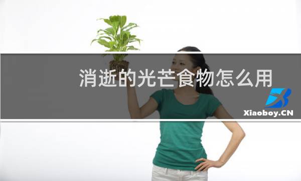 消逝的光芒食物怎么用