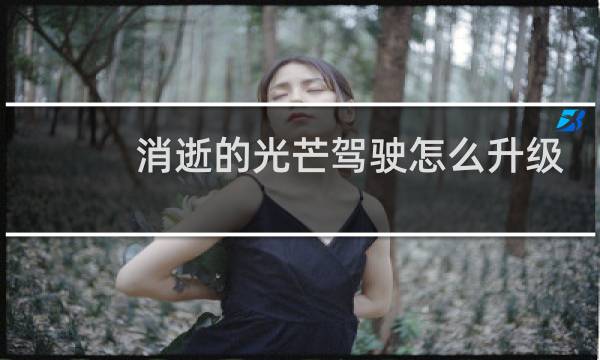 消逝的光芒驾驶怎么升级